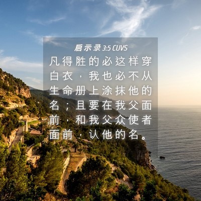 Picture 04 - 启 示 录 3:5 CUVS - 凡 得 胜 的 必 这 样 穿 白 衣 ， 我 - Bible Verse Picture