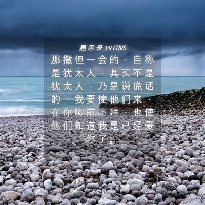 Picture 04 - 启 示 录 3:9 CUVS - 那 撒 但 一 会 的 ， 自 称 是 犹 太 - Bible Verse Picture