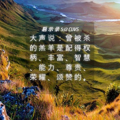 Picture 04 - 启 示 录 5:12 CUVS - 大 声 说 ： 曾 被 杀 的 羔 羊 是 配 - Bible Verse Picture
