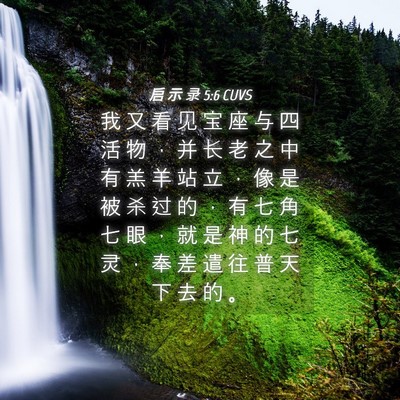Picture 04 - 启 示 录 5:6 CUVS - 我 又 看 见 宝 座 与 四 活 物 ， 并 - Bible Verse Picture