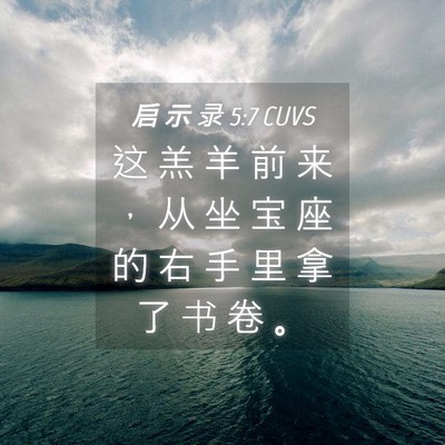 Picture 04 - 启 示 录 5:7 CUVS - 这 羔 羊 前 来 ， 从 坐 宝 座 的 右 - Bible Verse Picture