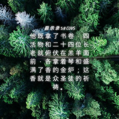 Picture 04 - 启 示 录 5:8 CUVS - 他 既 拿 了 书 卷 ， 四 活 物 和 二 - Bible Verse Picture