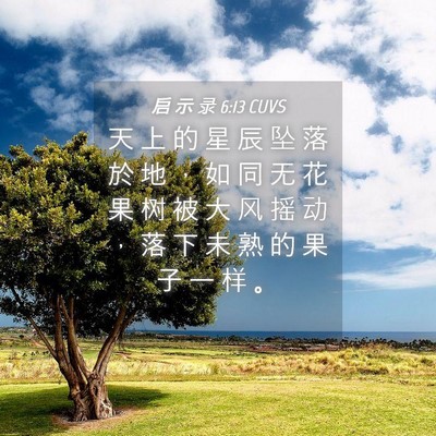 Picture 04 - 启 示 录 6:13 CUVS - 天 上 的 星 辰 坠 落 於 地 ， 如 同 - Bible Verse Picture