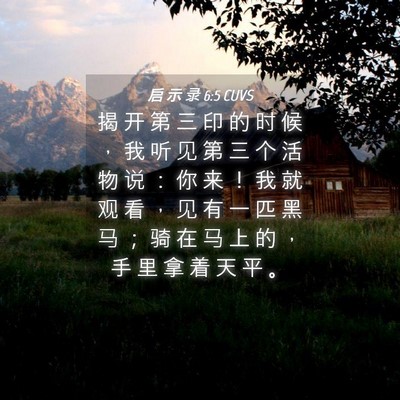 Picture 04 - 启 示 录 6:5 CUVS - 揭 开 第 三 印 的 时 候 ， 我 听 见 - Bible Verse Picture