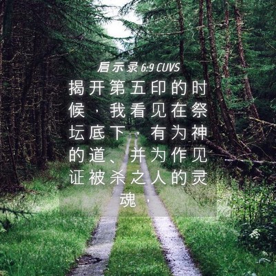 Picture 04 - 启 示 录 6:9 CUVS - 揭 开 第 五 印 的 时 候 ， 我 看 见 - Bible Verse Picture