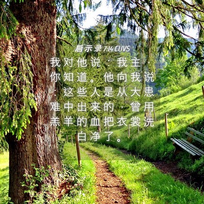 Picture 04 - 启 示 录 7:14 CUVS - 我 对 他 说 ： 我 主 ， 你 知 道 。 - Bible Verse Picture