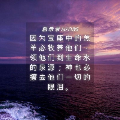 Picture 04 - 启 示 录 7:17 CUVS - 因 为 宝 座 中 的 羔 羊 必 牧 养 他 - Bible Verse Picture