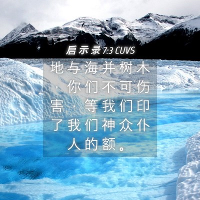 Picture 04 - 启 示 录 7:3 CUVS - 地 与 海 并 树 木 ， 你 们 不 可 伤 - Bible Verse Picture