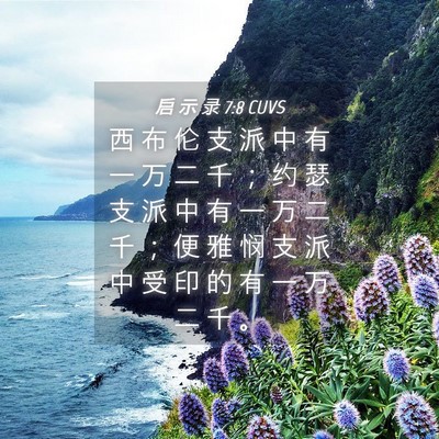 Picture 04 - 启 示 录 7:8 CUVS - 西 布 伦 支 派 中 有 一 万 二 千 ； - Bible Verse Picture