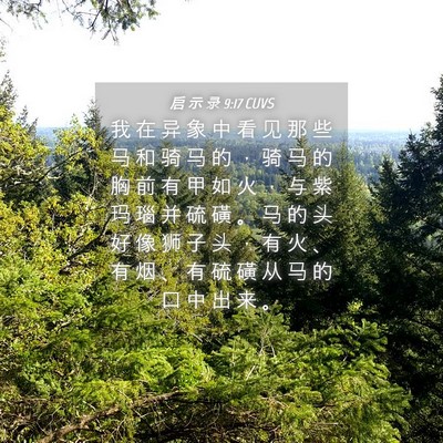 Picture 04 - 启 示 录 9:17 CUVS - 我 在 异 象 中 看 见 那 些 马 和 骑 - Bible Verse Picture