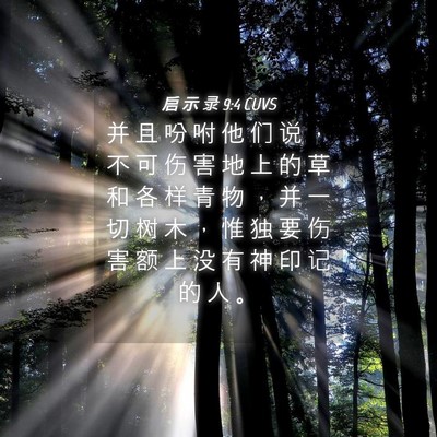 Picture 04 - 启 示 录 9:4 CUVS - 并 且 吩 咐 他 们 说 ， 不 可 伤 害 - Bible Verse Picture