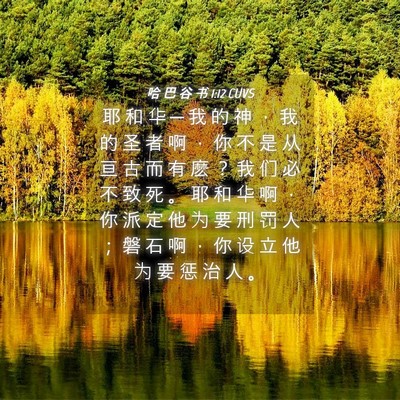 Picture 04 - 哈 巴 谷 书 1:12 CUVS - 耶 和 华 ─ 我 的 神 ， 我 的 圣 者 - Bible Verse Picture