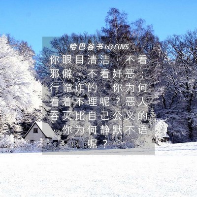Picture 04 - 哈 巴 谷 书 1:13 CUVS - 你 眼 目 清 洁 ， 不 看 邪 僻 ， 不 - Bible Verse Picture