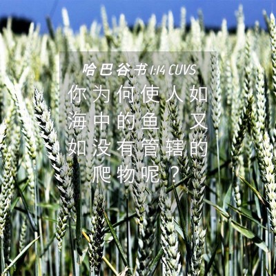Picture 04 - 哈 巴 谷 书 1:14 CUVS - 你 为 何 使 人 如 海 中 的 鱼 ， 又 - Bible Verse Picture