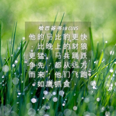 Picture 04 - 哈 巴 谷 书 1:8 CUVS - 他 的 马 比 豹 更 快 ， 比 晚 上 的 - Bible Verse Picture