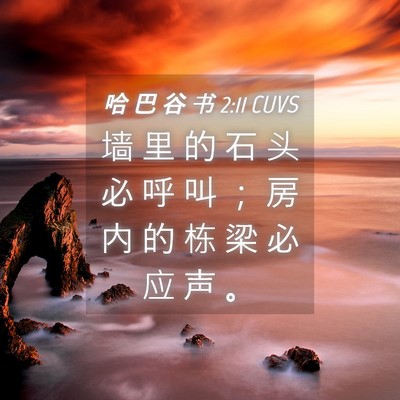 Picture 04 - 哈 巴 谷 书 2:11 CUVS - 墙 里 的 石 头 必 呼 叫 ； 房 内 的 - Bible Verse Picture