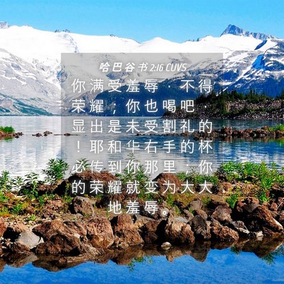 Picture 04 - 哈 巴 谷 书 2:16 CUVS - 你 满 受 羞 辱 ， 不 得 荣 耀 ； 你 - Bible Verse Picture