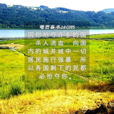 Picture 04 - 哈 巴 谷 书 2:8 CUVS - 因 你 抢 夺 许 多 的 国 ， 杀 人 流 - Bible Verse Picture