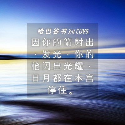 Picture 04 - 哈 巴 谷 书 3:11 CUVS - 因 你 的 箭 射 出 ， 发 光 ， 你 的 - Bible Verse Picture