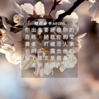 Picture 04 - 哈 巴 谷 书 3:13 CUVS - 你 出 来 要 拯 救 你 的 百 姓 ， 拯 - Bible Verse Picture