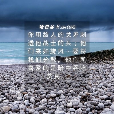 Picture 04 - 哈 巴 谷 书 3:14 CUVS - 你 用 敌 人 的 戈 矛 刺 透 他 战 士 - Bible Verse Picture