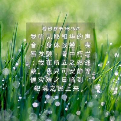 Picture 04 - 哈 巴 谷 书 3:16 CUVS - 我 听 见 耶 和 华 的 声 音 ， 身 体 - Bible Verse Picture