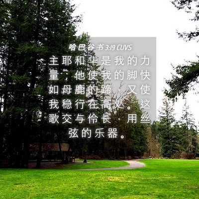 Picture 04 - 哈 巴 谷 书 3:19 CUVS - 主 耶 和 华 是 我 的 力 量 ； 他 使 - Bible Verse Picture