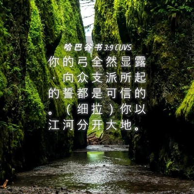 Picture 04 - 哈 巴 谷 书 3:9 CUVS - 你 的 弓 全 然 显 露 ， 向 众 支 派 - Bible Verse Picture