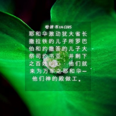 Picture 04 - 哈 该 书 1:14 CUVS - 耶 和 华 激 动 犹 大 省 长 撒 拉 铁 - Bible Verse Picture