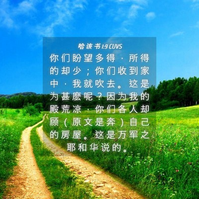 Picture 04 - 哈 该 书 1:9 CUVS - 你 们 盼 望 多 得 ， 所 得 的 却 少 - Bible Verse Picture