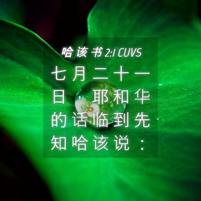 Picture 04 - 哈 该 书 2:1 CUVS - 七 月 二 十 一 日 ， 耶 和 华 的 话 - Bible Verse Picture