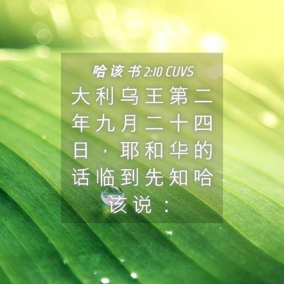 Picture 04 - 哈 该 书 2:10 CUVS - 大 利 乌 王 第 二 年 九 月 二 十 四 - Bible Verse Picture