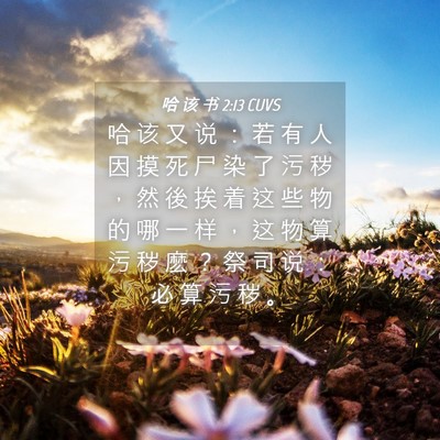 Picture 04 - 哈 该 书 2:13 CUVS - 哈 该 又 说 ： 若 有 人 因 摸 死 尸 - Bible Verse Picture
