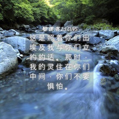 Picture 04 - 哈 该 书 2:5 CUVS - 这 是 照 着 你 们 出 埃 及 我 与 你 - Bible Verse Picture