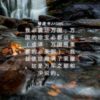 Picture 04 - 哈 该 书 2:7 CUVS - 我 必 震 动 万 国 ； 万 国 的 珍 宝 - Bible Verse Picture