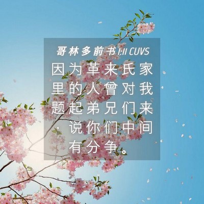 Picture 04 - 哥 林 多 前 书 1:11 CUVS - 因 为 革 来 氏 家 里 的 人 曾 对 我 - Bible Verse Picture