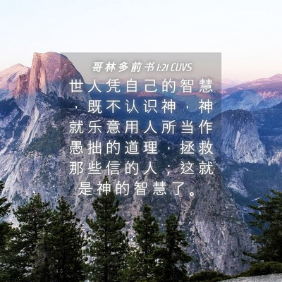 Picture 04 - 哥 林 多 前 书 1:21 CUVS - 世 人 凭 自 己 的 智 慧 ， 既 不 认 - Bible Verse Picture