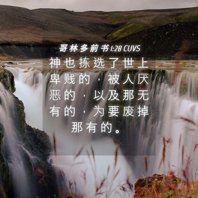 Picture 04 - 哥 林 多 前 书 1:28 CUVS - 神 也 拣 选 了 世 上 卑 贱 的 ， 被 - Bible Verse Picture