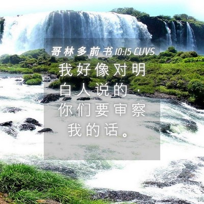 Picture 04 - 哥 林 多 前 书 10:15 CUVS - 我 好 像 对 明 白 人 说 的 ， 你 们 - Bible Verse Picture