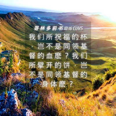 Picture 04 - 哥 林 多 前 书 10:16 CUVS - 我 们 所 祝 福 的 杯 ， 岂 不 是 同 - Bible Verse Picture