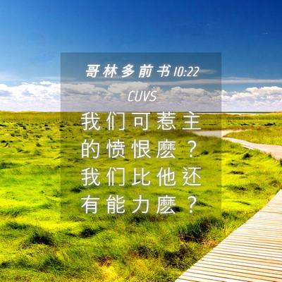 Picture 04 - 哥 林 多 前 书 10:22 CUVS - 我 们 可 惹 主 的 愤 恨 麽 ？ 我 们 - Bible Verse Picture