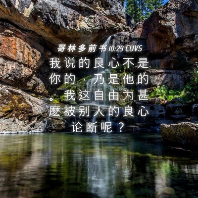 Picture 04 - 哥 林 多 前 书 10:29 CUVS - 我 说 的 良 心 不 是 你 的 ， 乃 是 - Bible Verse Picture