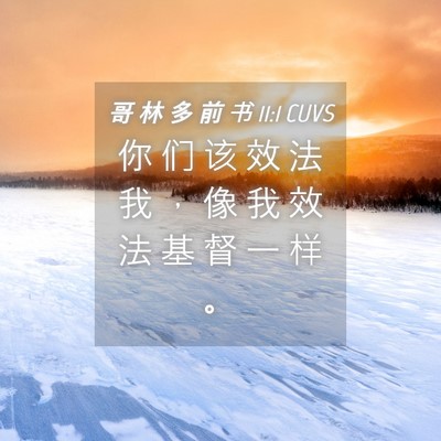 Picture 04 - 哥 林 多 前 书 11:1 CUVS - 你 们 该 效 法 我 ， 像 我 效 法 基 - Bible Verse Picture