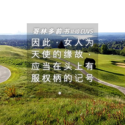 Picture 04 - 哥 林 多 前 书 11:10 CUVS - 因 此 ， 女 人 为 天 使 的 缘 故 ， - Bible Verse Picture