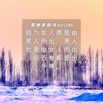Picture 04 - 哥 林 多 前 书 11:12 CUVS - 因 为 女 人 原 是 由 男 人 而 出 ， - Bible Verse Picture