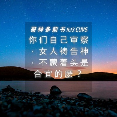 Picture 04 - 哥 林 多 前 书 11:13 CUVS - 你 们 自 己 审 察 ， 女 人 祷 告 神 - Bible Verse Picture