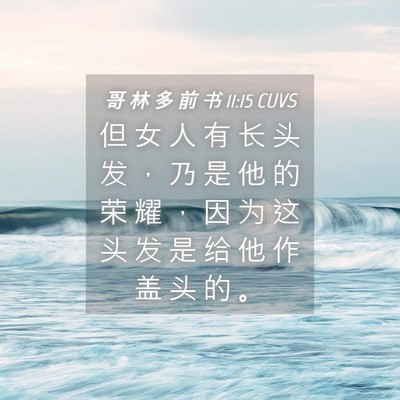 Picture 04 - 哥 林 多 前 书 11:15 CUVS - 但 女 人 有 长 头 发 ， 乃 是 他 的 - Bible Verse Picture