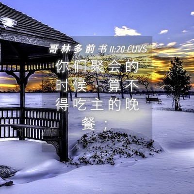 Picture 04 - 哥 林 多 前 书 11:20 CUVS - 你 们 聚 会 的 时 候 ， 算 不 得 吃 - Bible Verse Picture