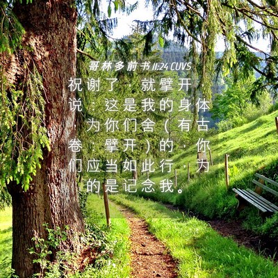 Picture 04 - 哥 林 多 前 书 11:24 CUVS - 祝 谢 了 ， 就 擘 开 ， 说 ： 这 是 - Bible Verse Picture