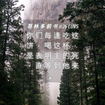 Picture 04 - 哥 林 多 前 书 11:26 CUVS - 你 们 每 逢 吃 这 饼 ， 喝 这 杯 ， - Bible Verse Picture